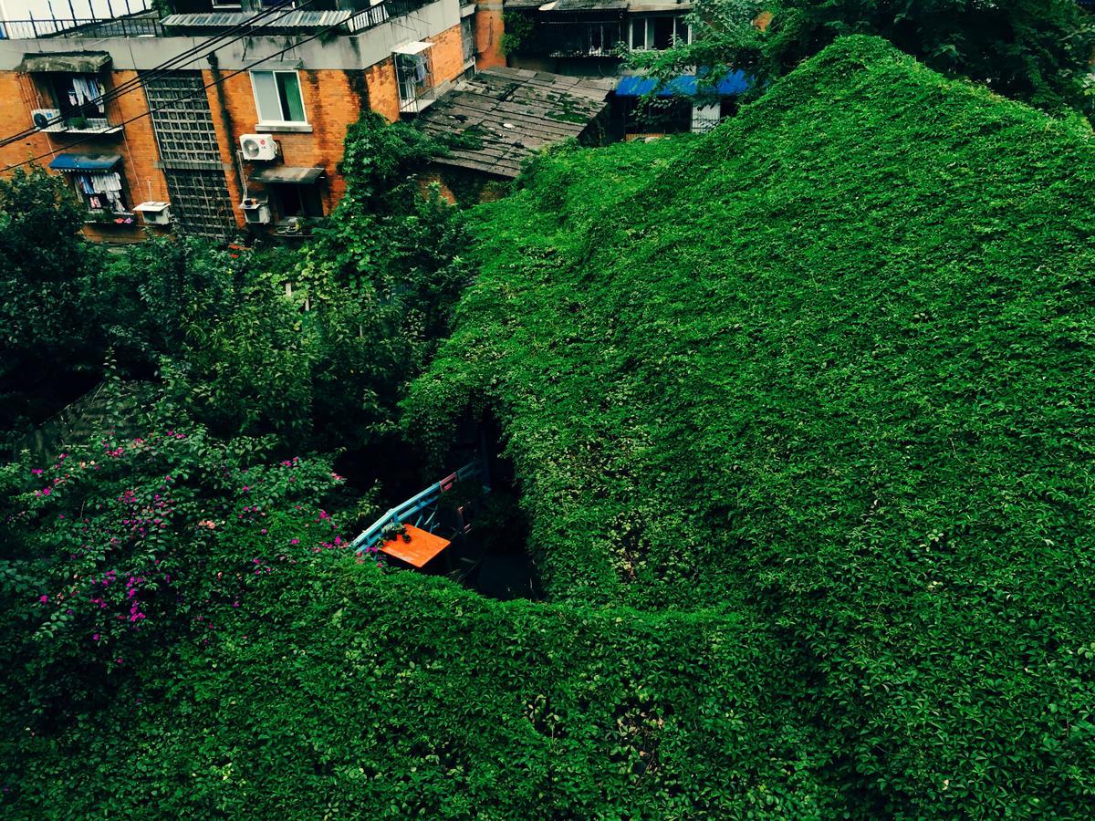 Hello Chengdu International Youth Hostel المظهر الخارجي الصورة